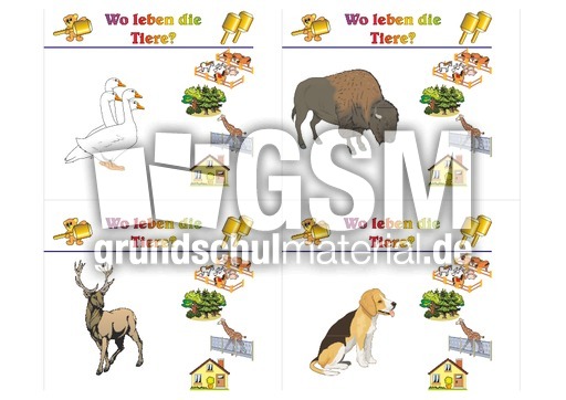 HC-Tiere leben B 02.pdf